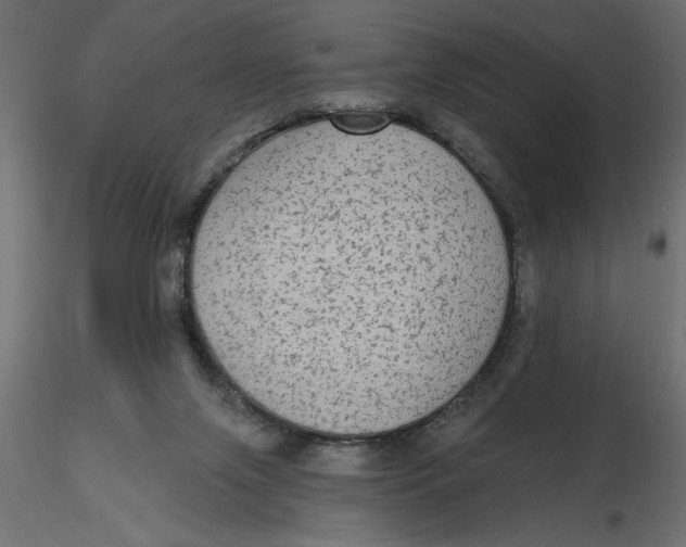 X0000116570071200912312002