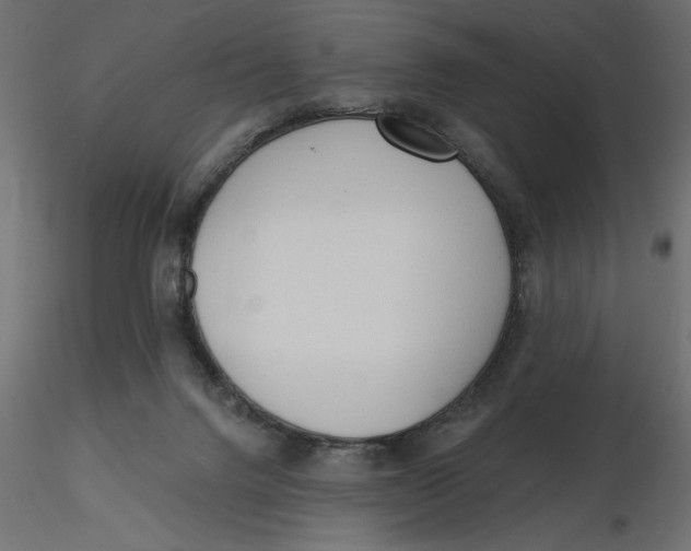 X0000116570072200912312002