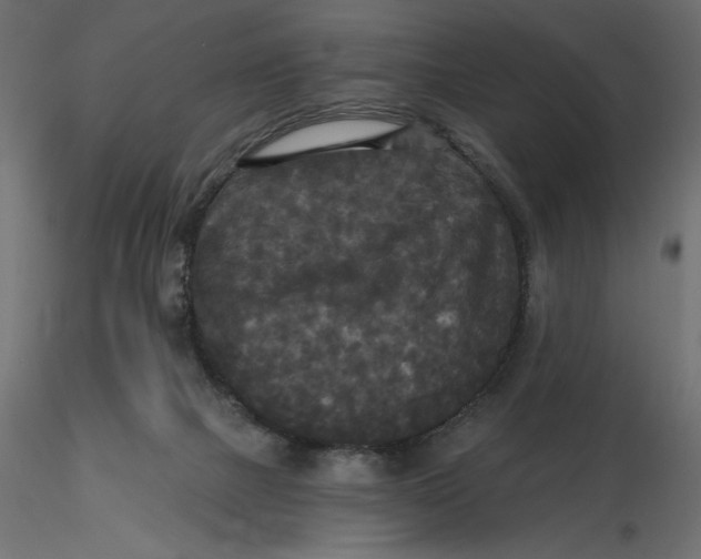 X0000116570073200912312002