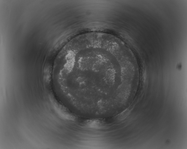 X0000116570074200912312002