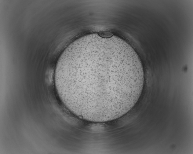 X0000116570075200912312002