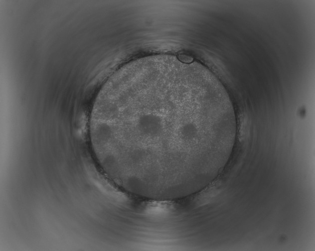 X0000116570077200912312002