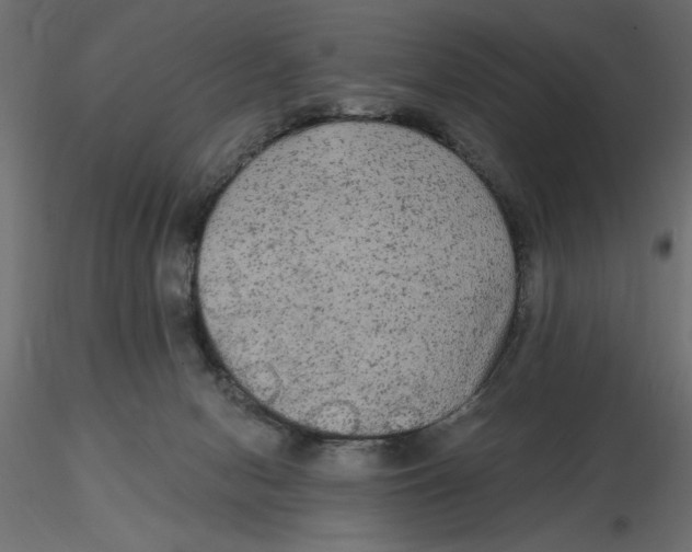 X0000116570078200912312002