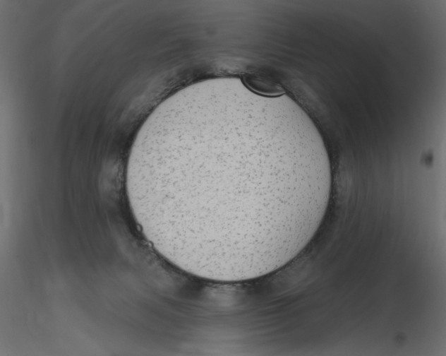 X0000116570079200912312002