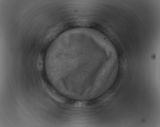 X0000116570080200912312002