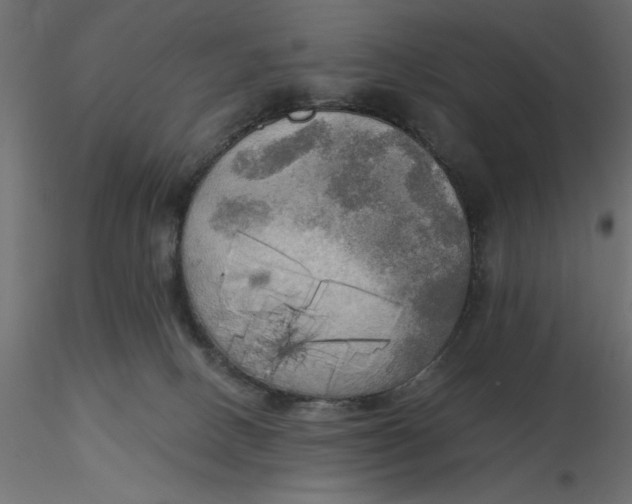 X0000116570082200912312002