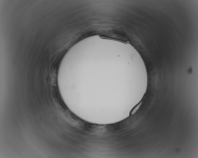 X0000116570083200912312002