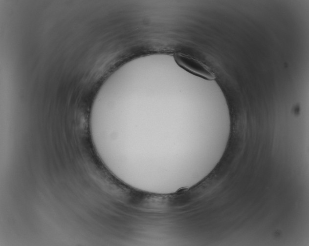 X0000116570084200912312002