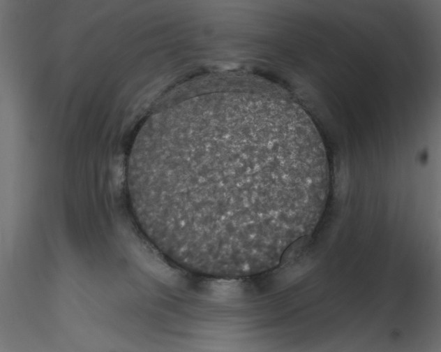 X0000116570085200912312002