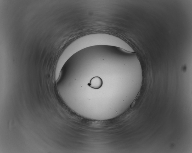 X0000116570088200912312002