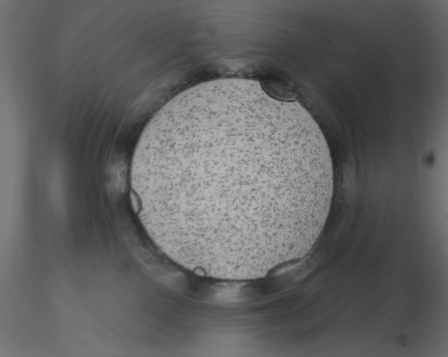 X0000116570090200912312002