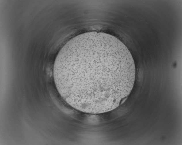 X0000116570091200912312002