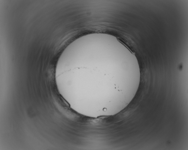 X0000116570092200912312002