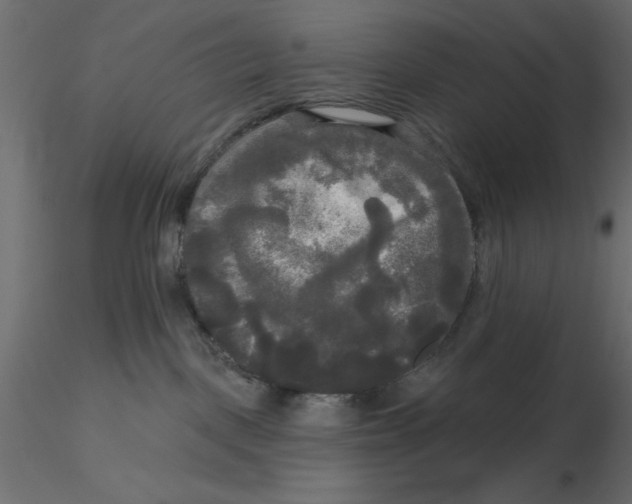 X0000116570093200912312002