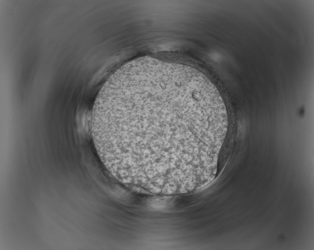 X0000116570094200912312002