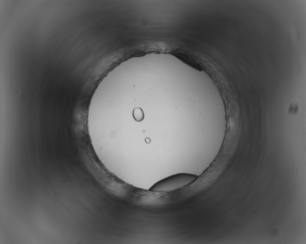 X0000116570096200912312002