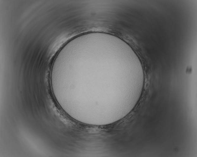 X0000116570098200912312002