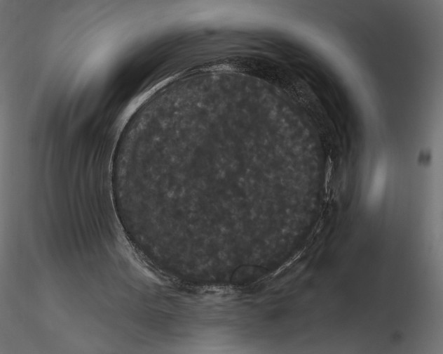 X0000116570099200912312002