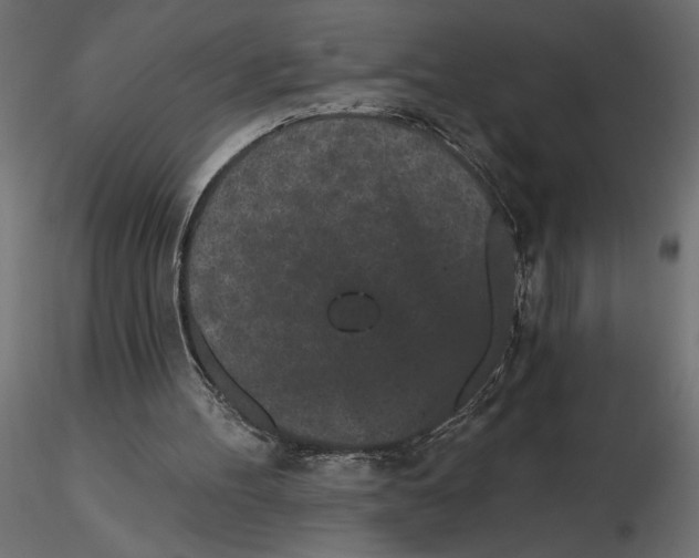 X0000116570100200912312002