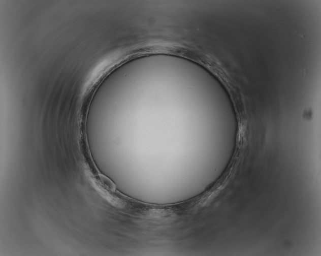 X0000116570101200912312002