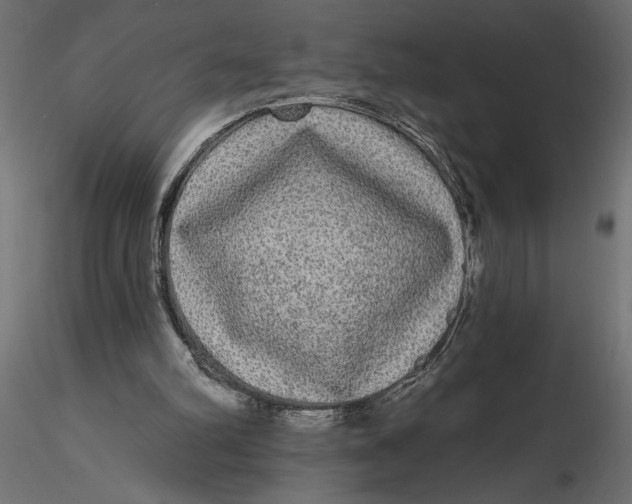 X0000116570102200912312002