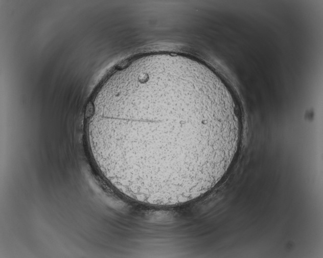 X0000116570107200912312002