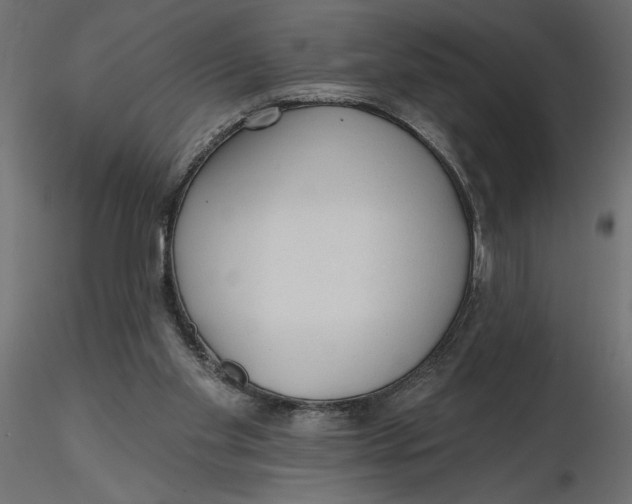 X0000116570109200912312002