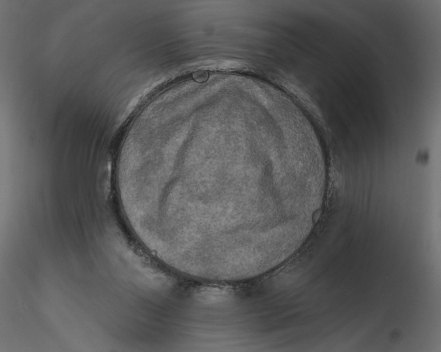 X0000116570110200912312002