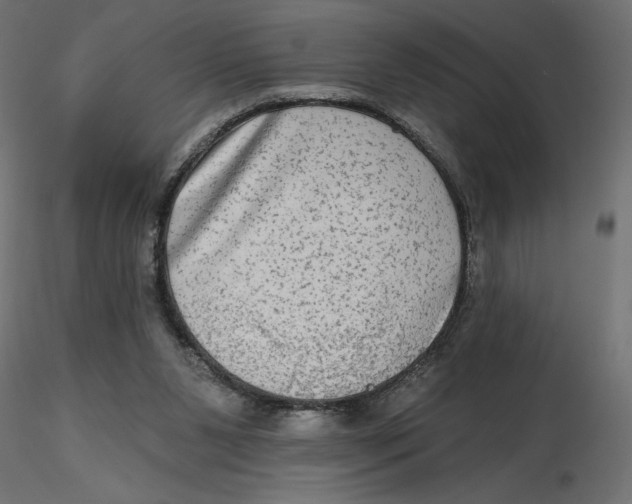 X0000116570111200912312001