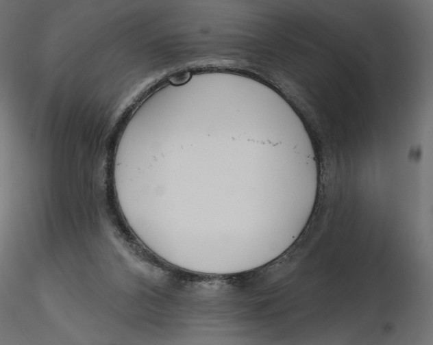 X0000116570112200912312001