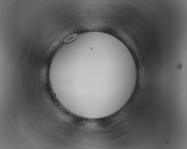 X0000116570113200912312001