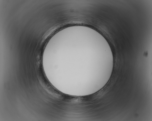 X0000116570116200912312001