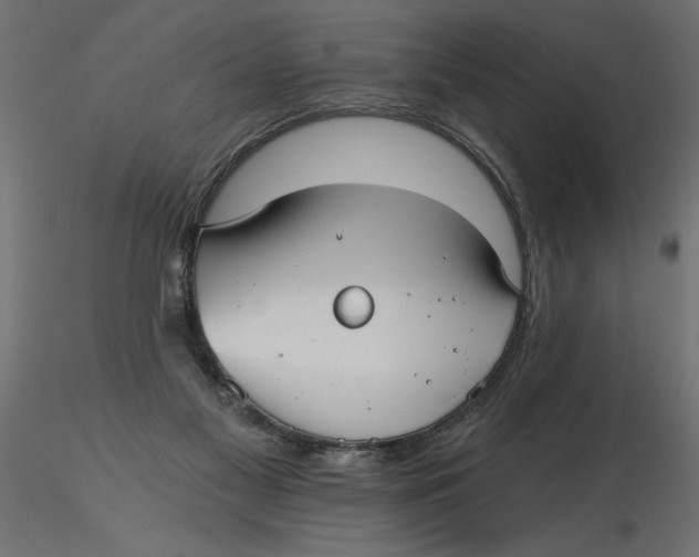 X0000116570117200912312001