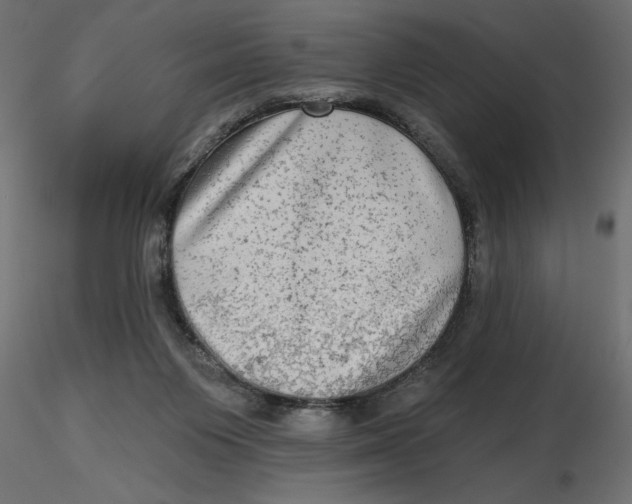 X0000116570119200912312001