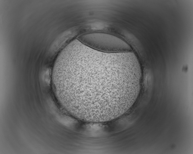 X0000116570121200912312001