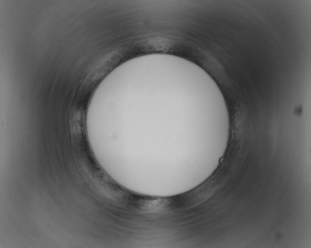 X0000116570122200912312001