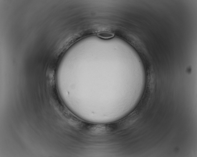 X0000116570123200912312001