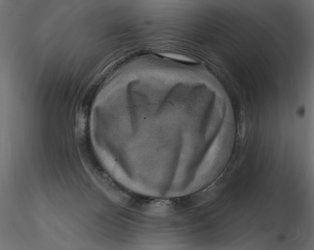 X0000116570124200912312001