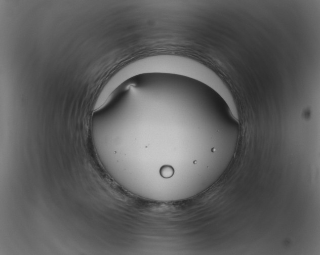 X0000116570125200912312001