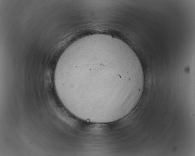 X0000116570128200912312001