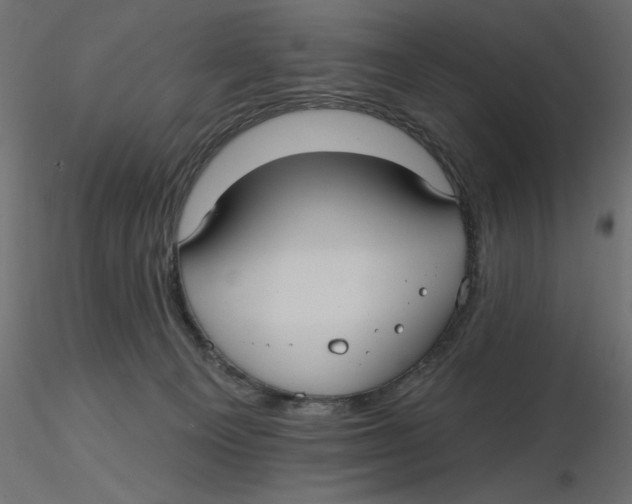 X0000116570129200912312001