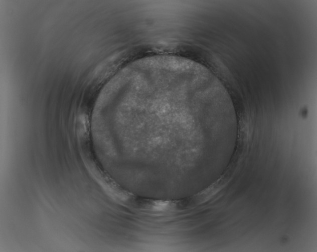 X0000116570130200912312001