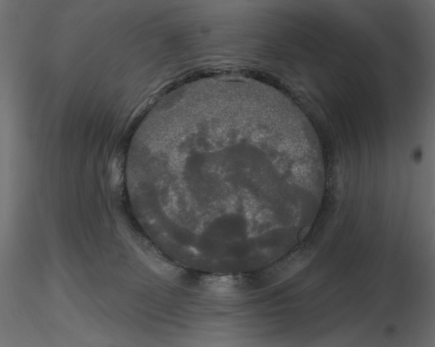 X0000116570131200912312001