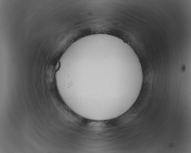 X0000116570133200912312001