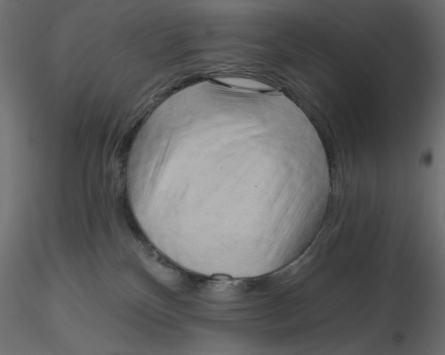 X0000116570136200912312001