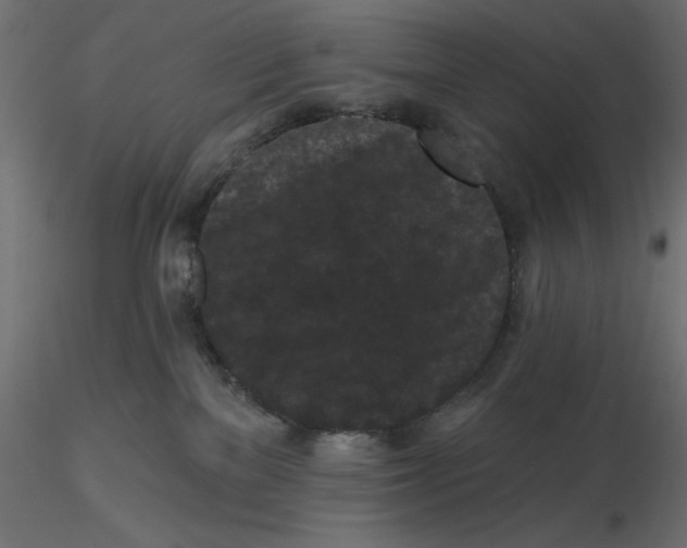 X0000116570137200912312001