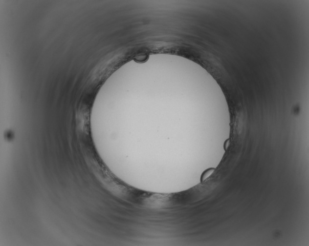 X0000116570138200912312001