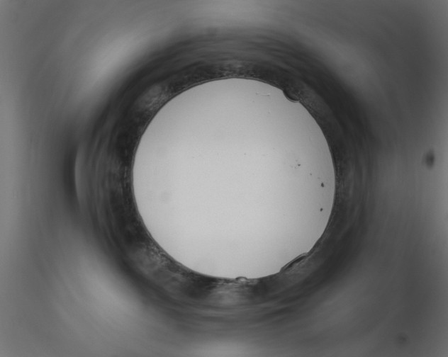 X0000116570140200912312001