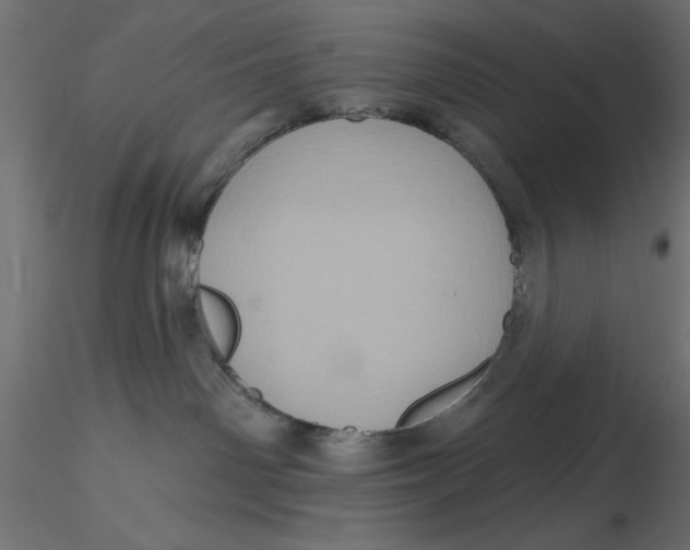 X0000116570142200912312001