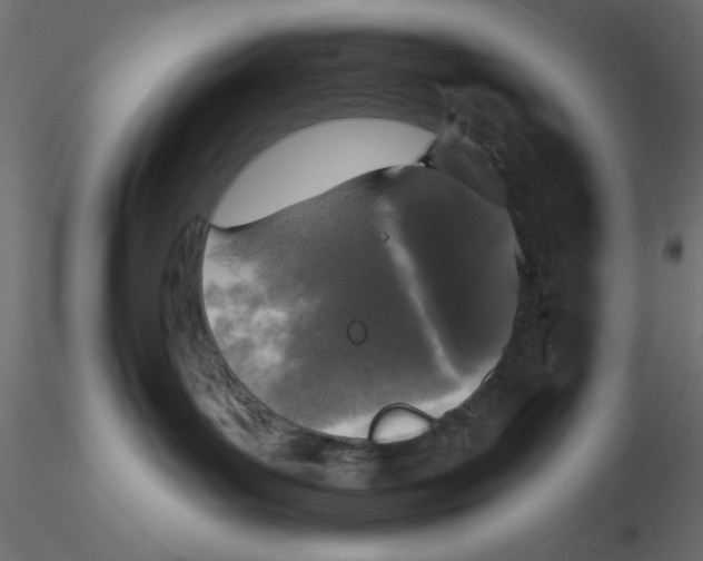 X0000116570143200912312001